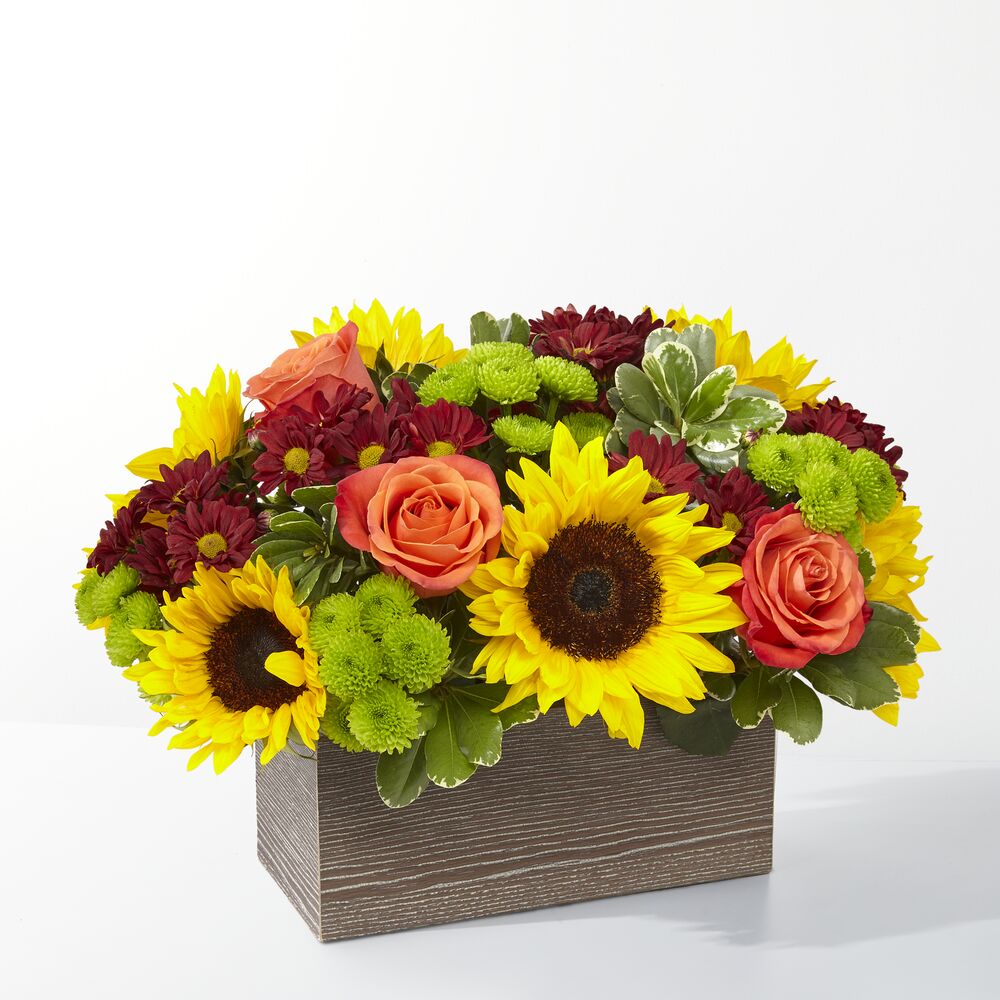 HAPPY HARVEST GARDEN