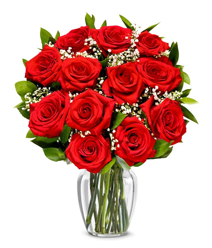 Premium Red Roses