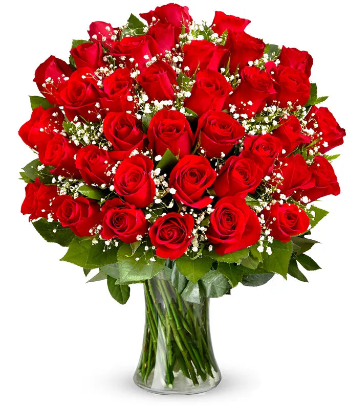 Premium Red Roses