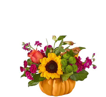 FTD BIPPITY BOPPITY PUMPKIN