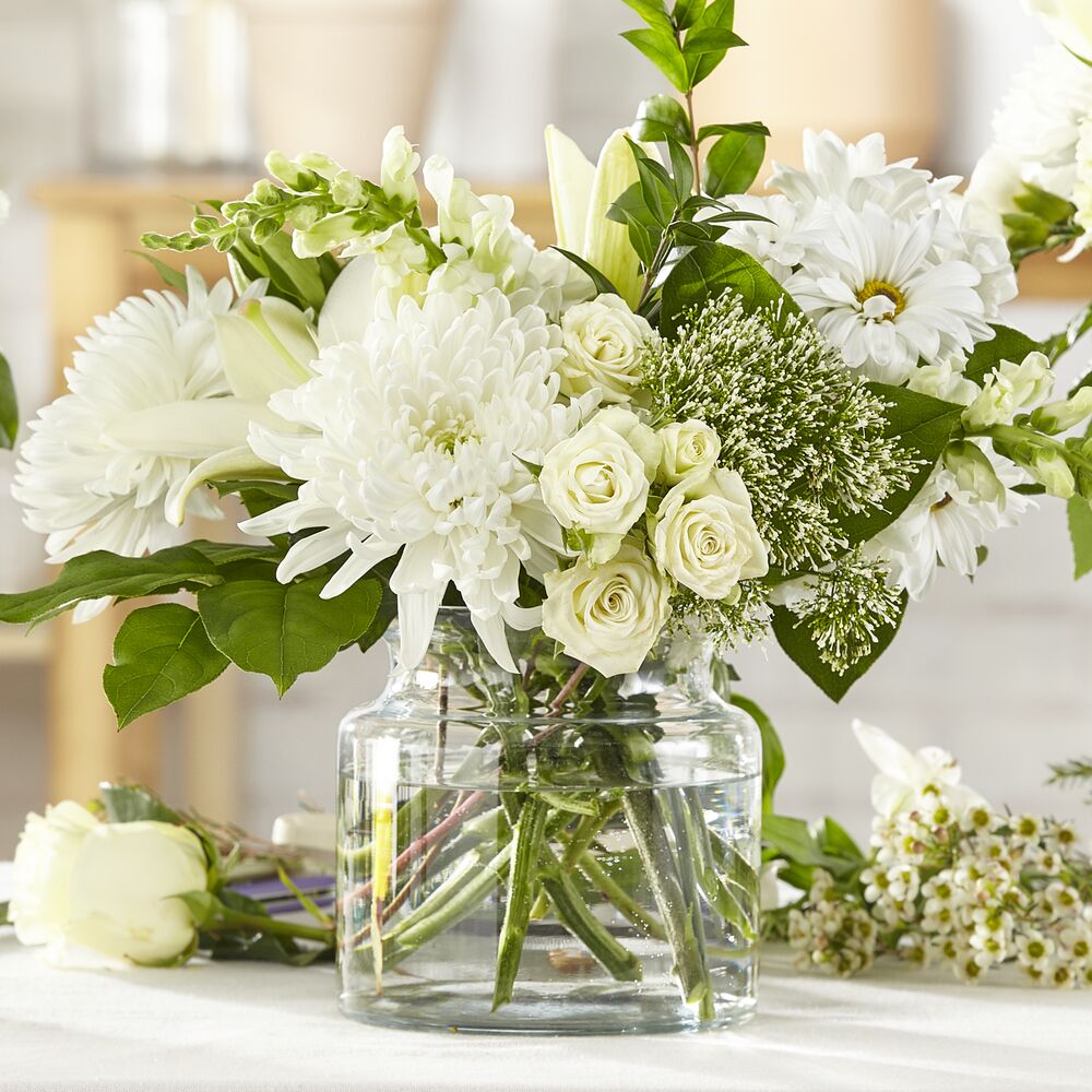 Classic Ivory