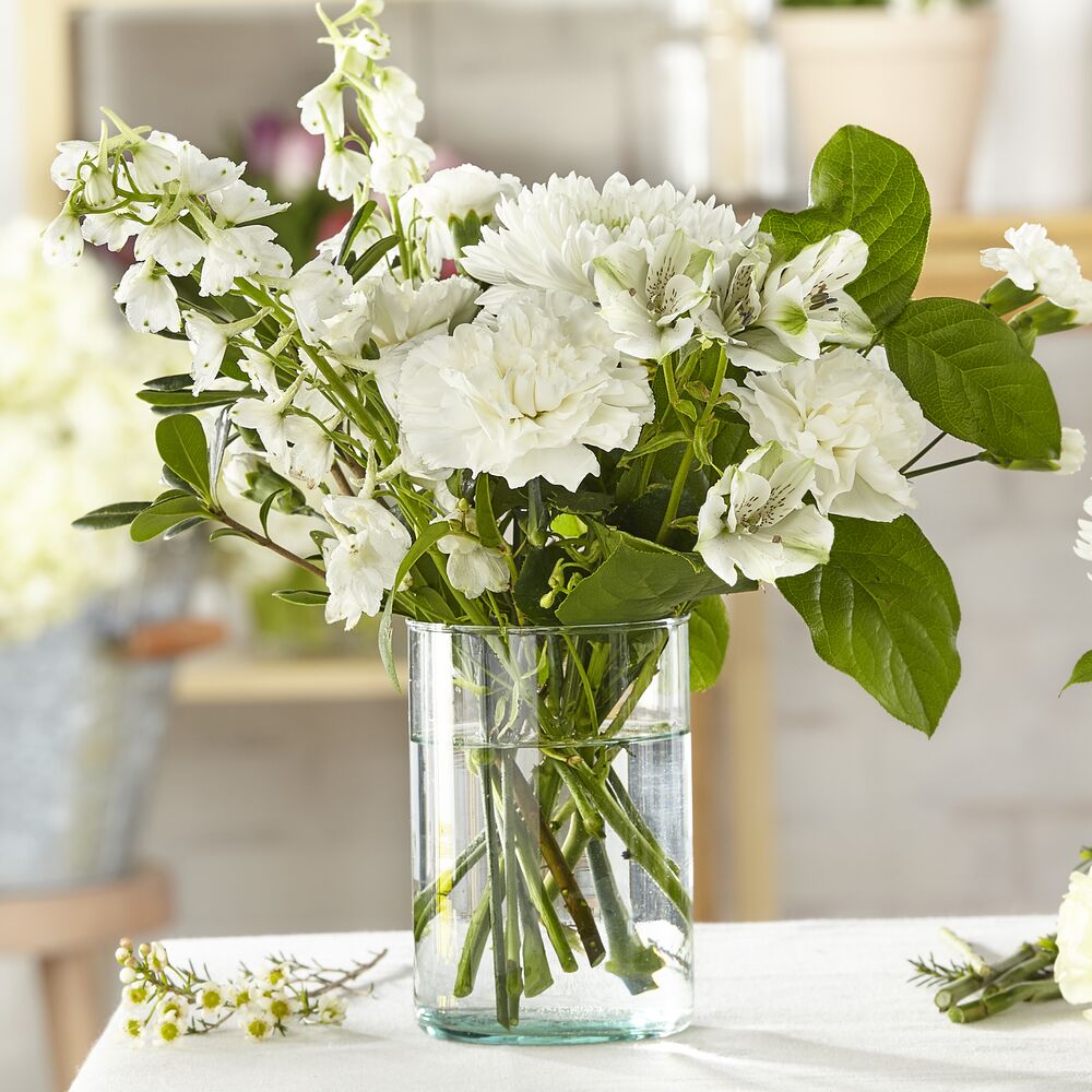 Classic Ivory