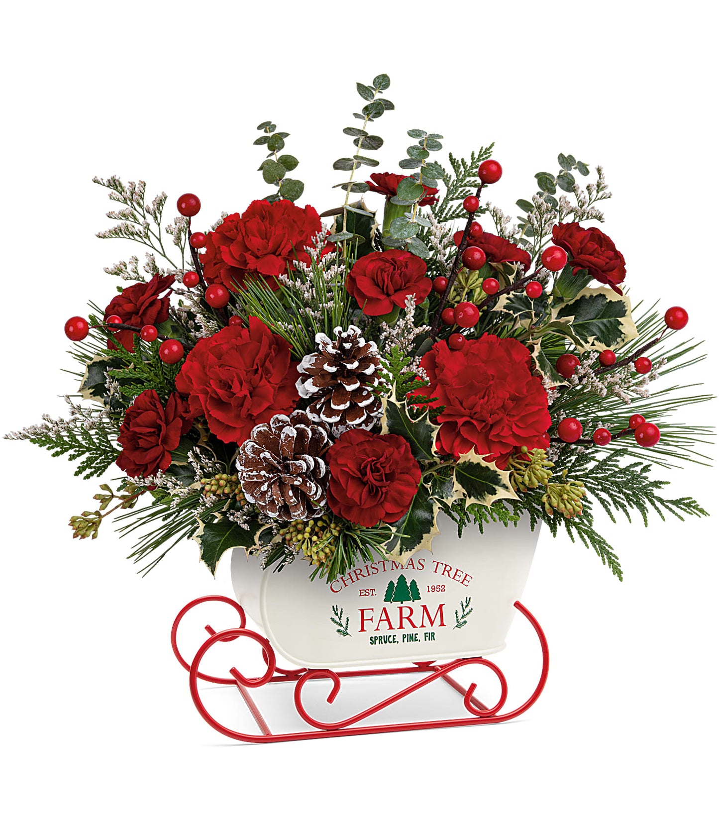 TELEFLORA'S SNOW WHAT FUN BOUQUET
