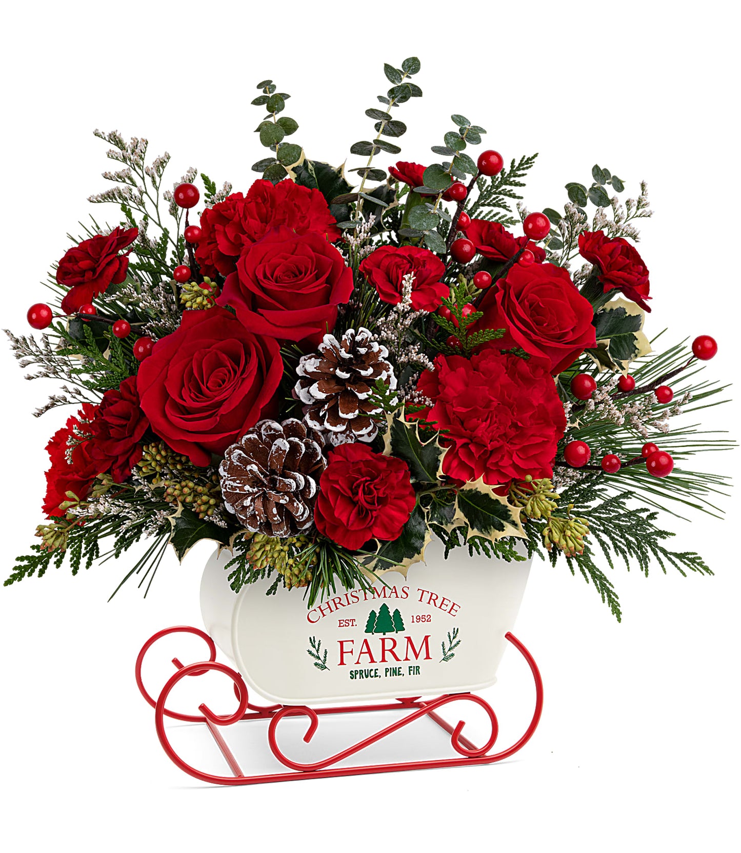 TELEFLORA'S SNOW WHAT FUN BOUQUET