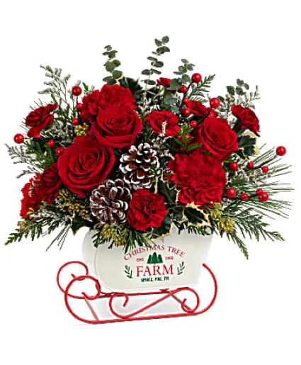 TELEFLORA'S SNOW WHAT FUN BOUQUET