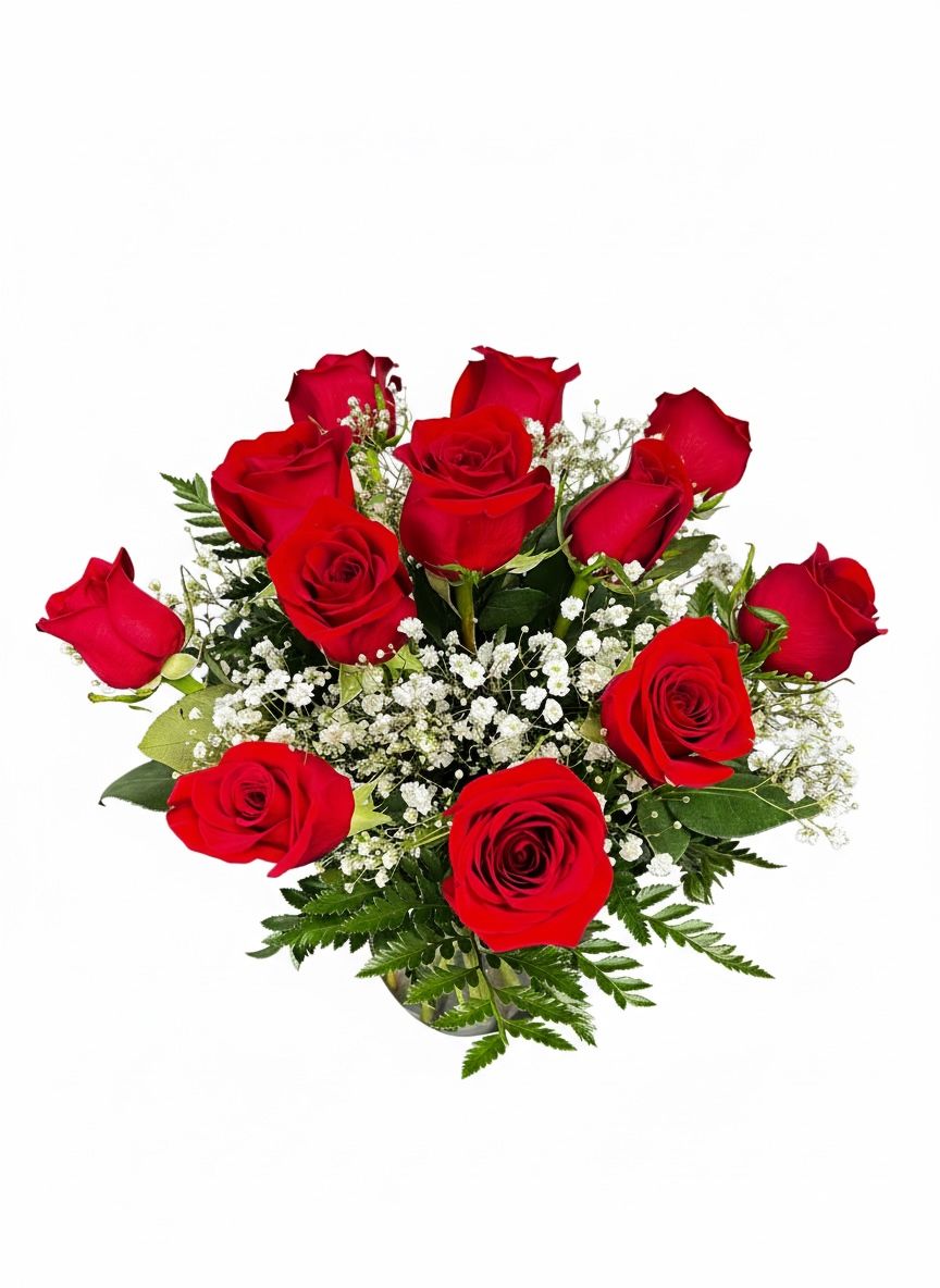 1 DOZEN ROSES IN A VASE WITH BABY'S BREATH