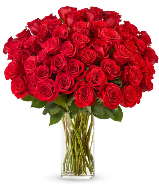 50 Stunning Long Stemmed Red Roses
