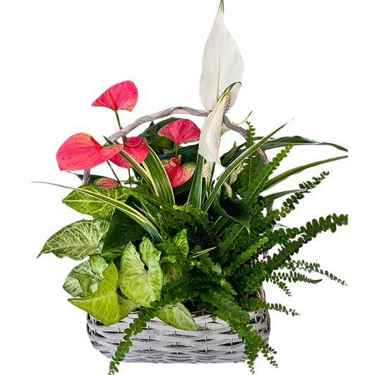 Garden Basket XL