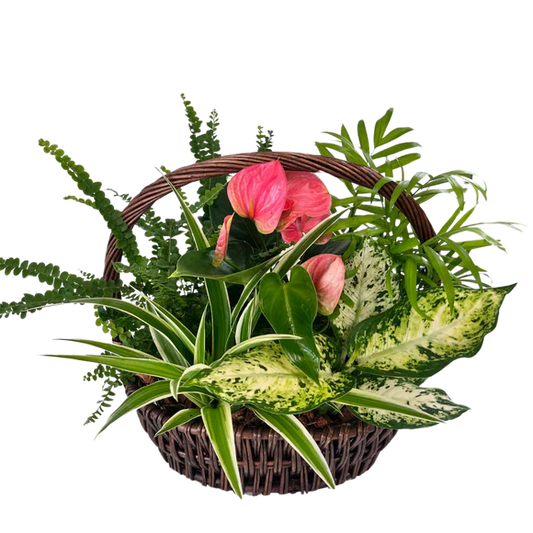 Garden Basket