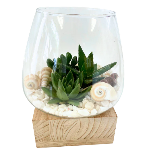 Wood Base Succulent Garden