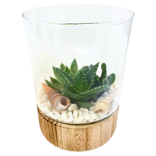 Wood Base Succulent Garden - Cylinder