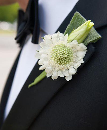 DASHING BOUTONNIERE